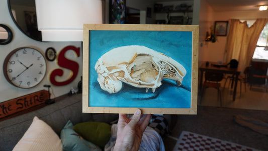 The Rabbit Skull