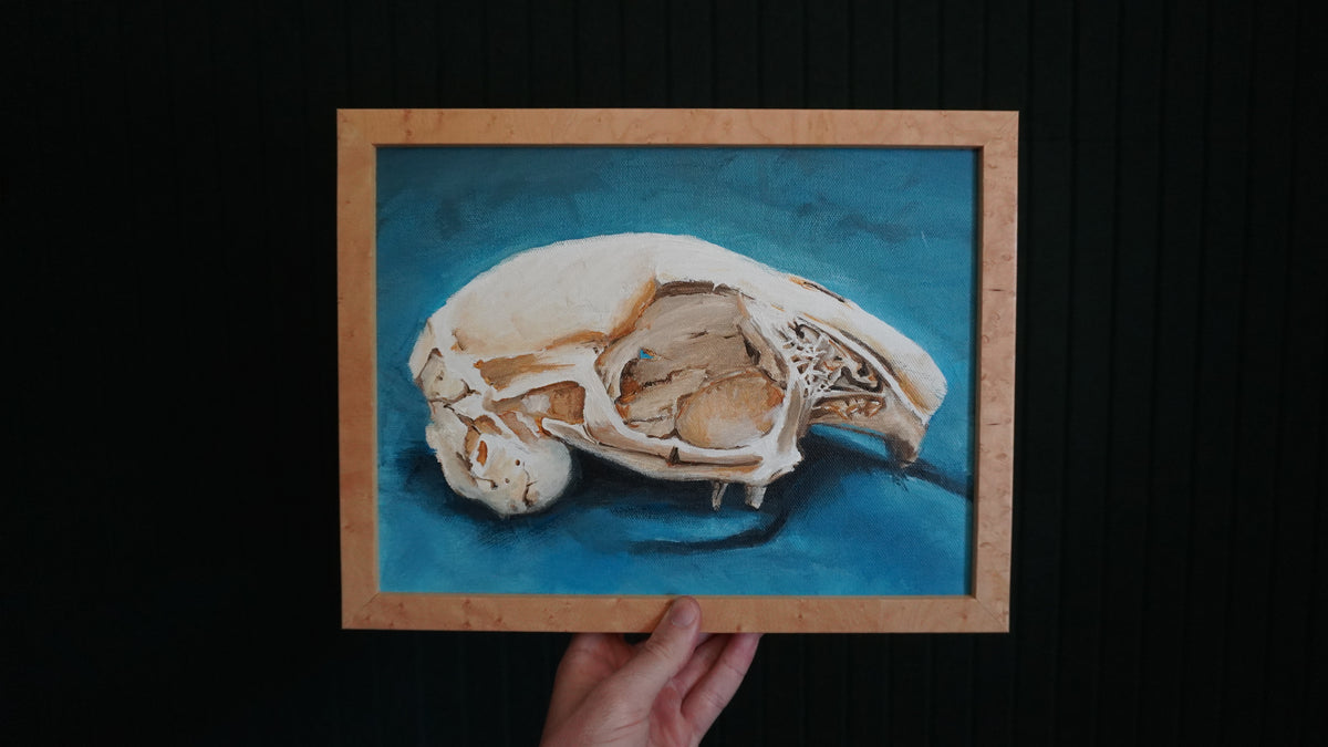 The Rabbit Skull