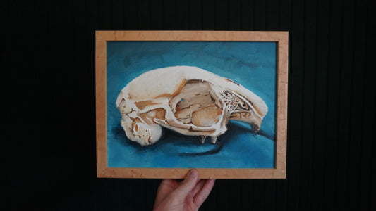 The Rabbit Skull