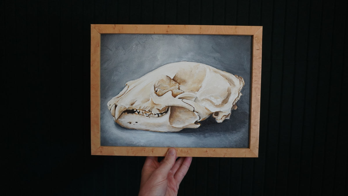The Bear Skull