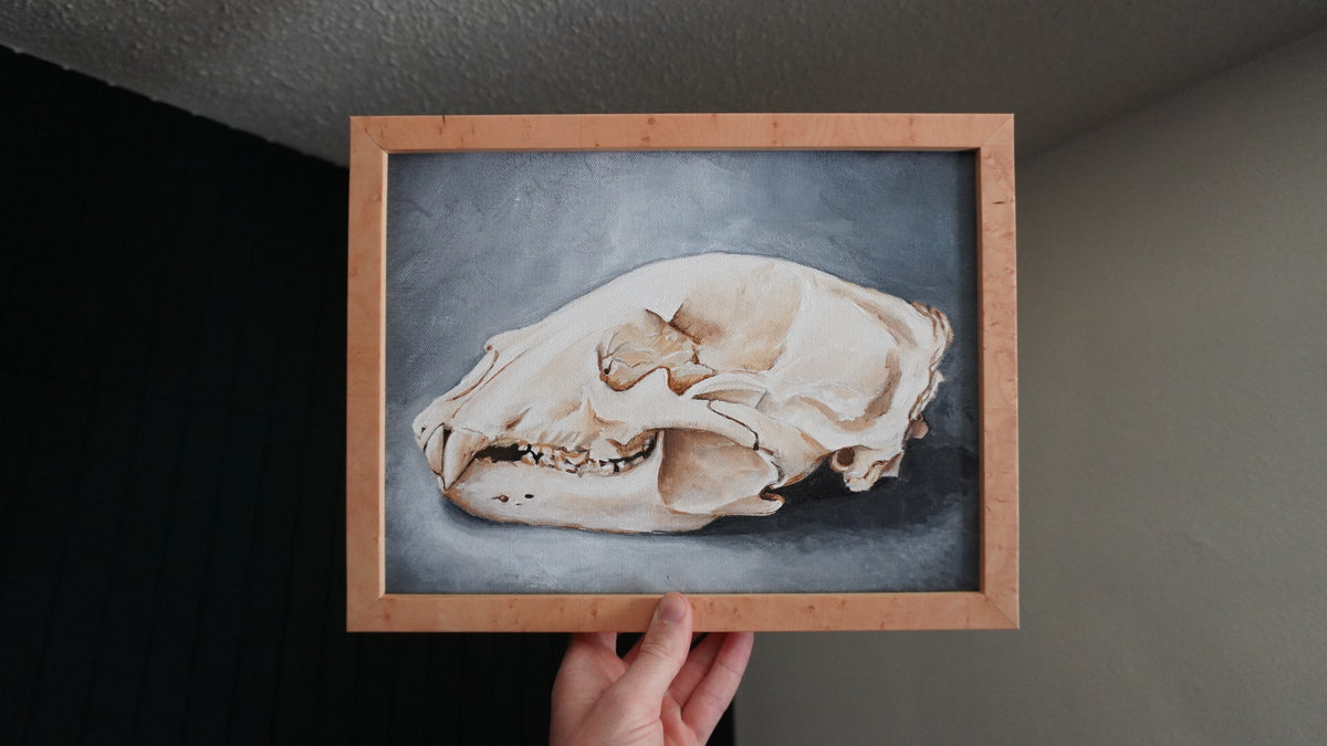 The Bear Skull