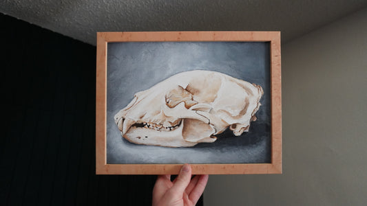 The Bear Skull